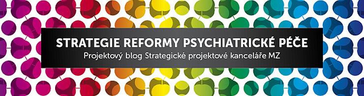 Docent Anders: Reforma psychiatrie nebudou jen kosmetické změny 4