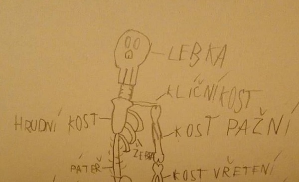 Dospělým jsem nikdy nebyl, odvetil mi autista